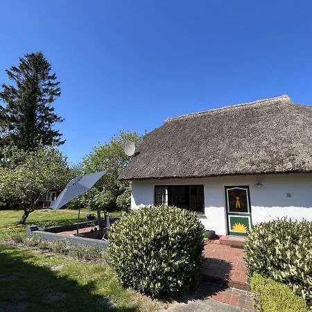 Ferienhaus Ilva In Born Villa Exterior photo