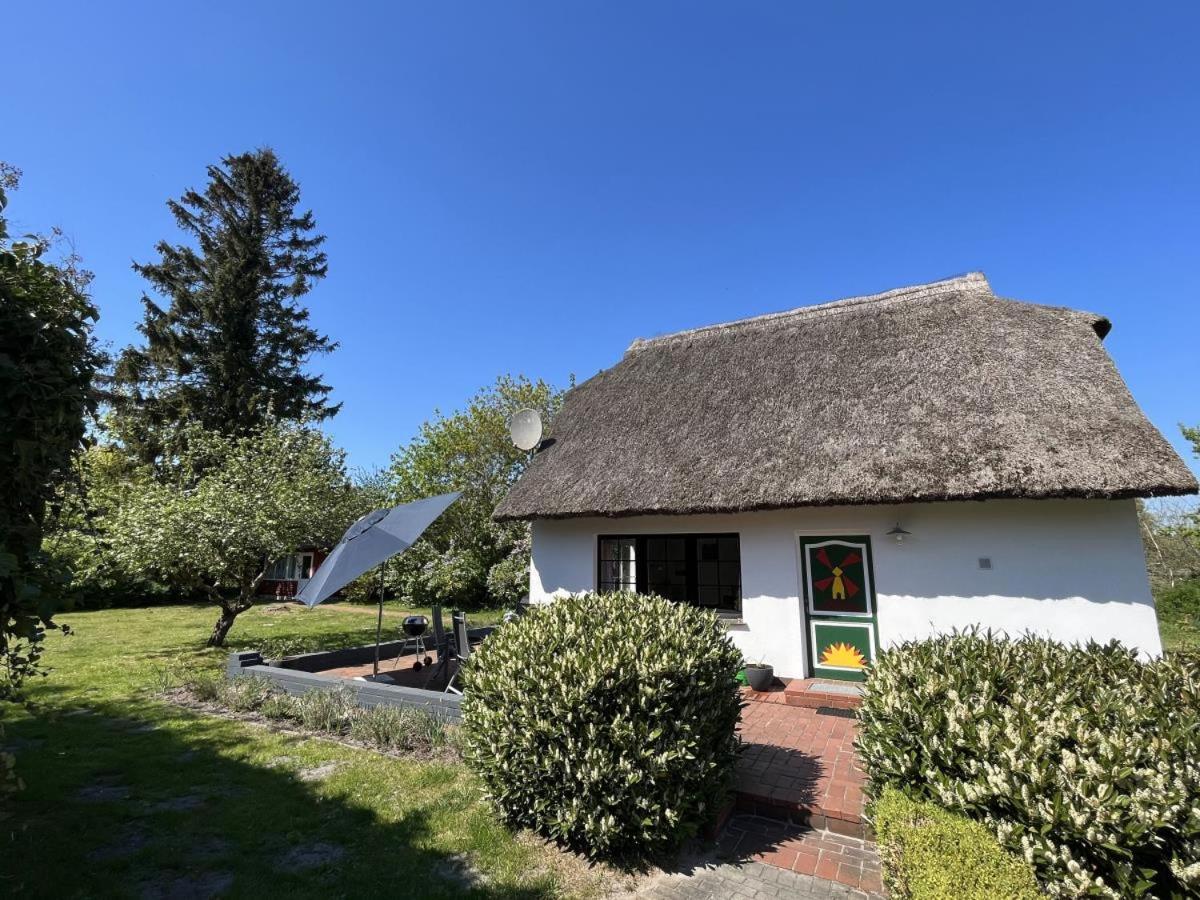 Ferienhaus Ilva In Born Villa Exterior photo