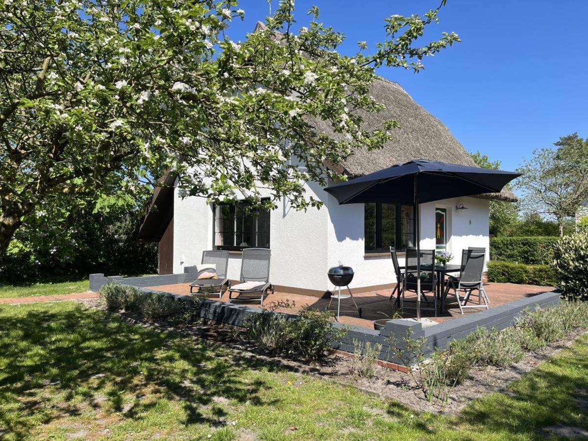 Ferienhaus Ilva In Born Villa Exterior photo